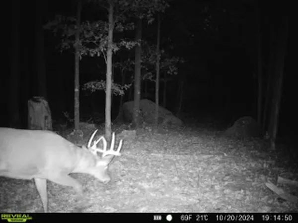 $484,000 | E3759 Highway 161, Iola, WI 54945