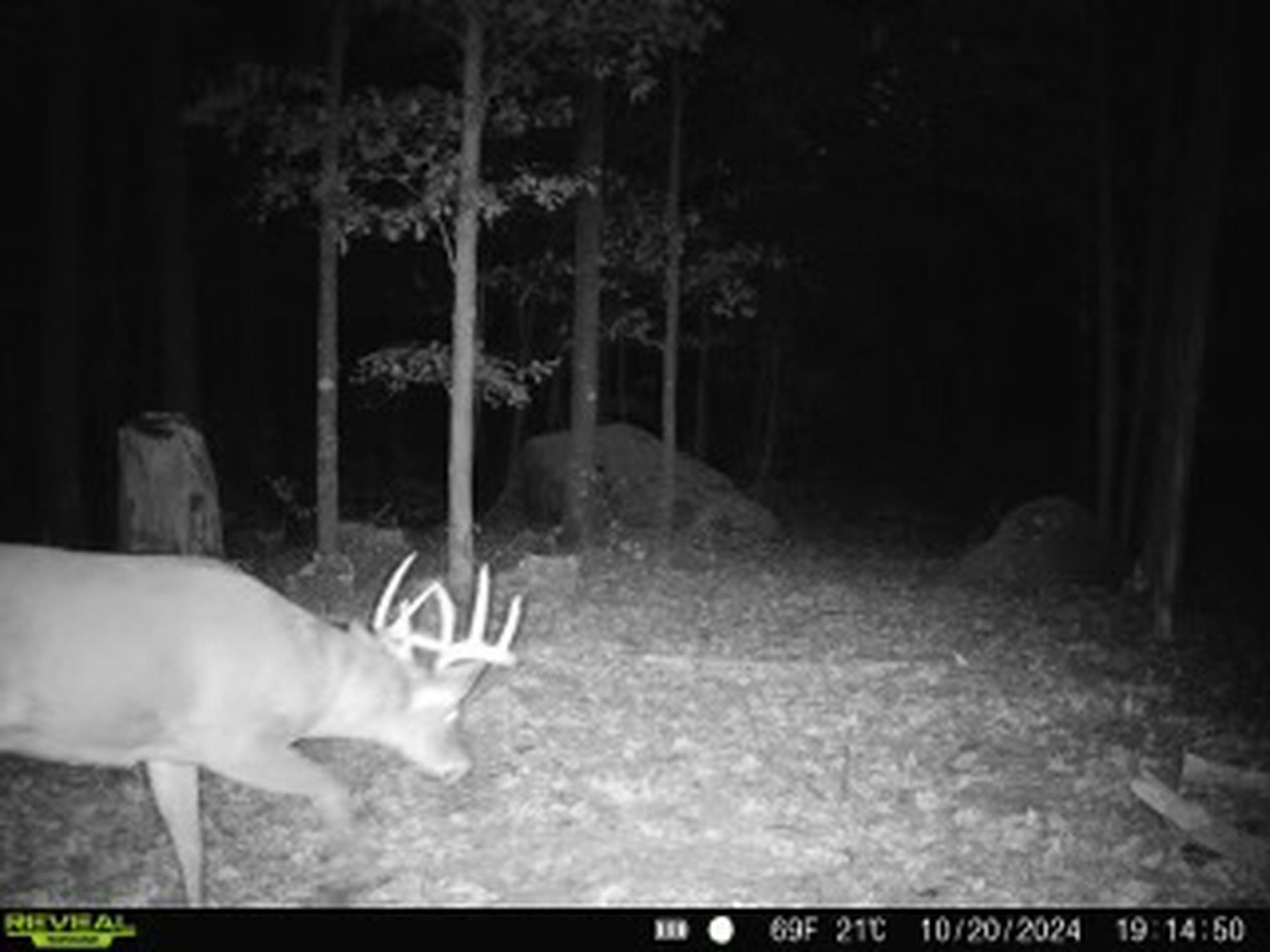 E3759 Highway 161 Iola, WI 54945 - Photo 45 of 67