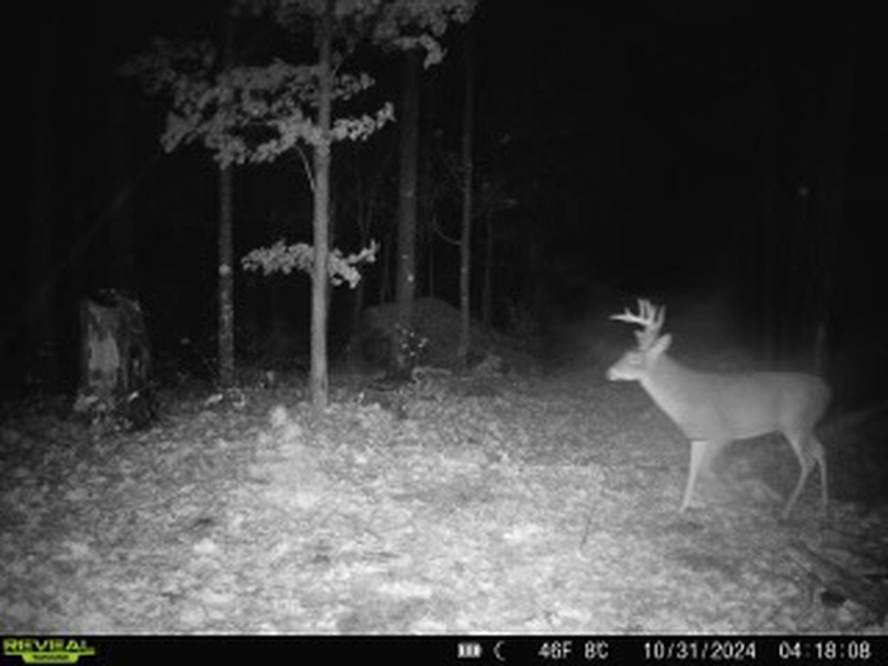 E3759 Highway 161 Iola, WI 54945 - Photo 46 of 67