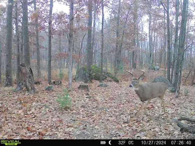 $499,900 | E3759 Highway 161, Iola, WI 54945