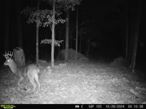 $484,000 | E3759 Highway 161, Iola, WI 54945