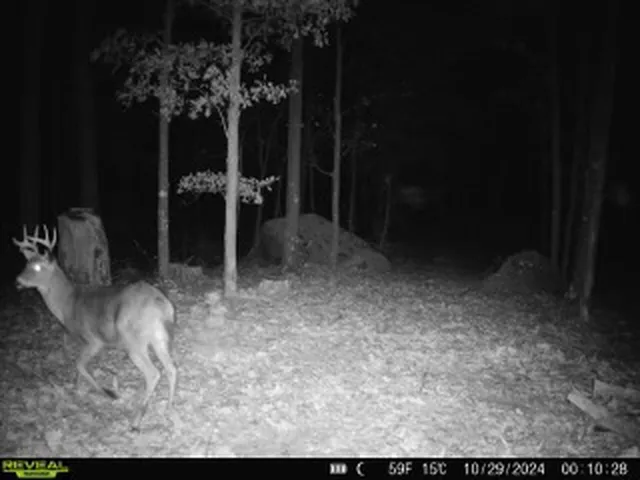 $499,900 | E3759 Highway 161, Iola, WI 54945