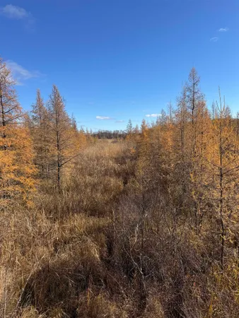 $484,000 | E3759 Highway 161, Iola, WI 54945