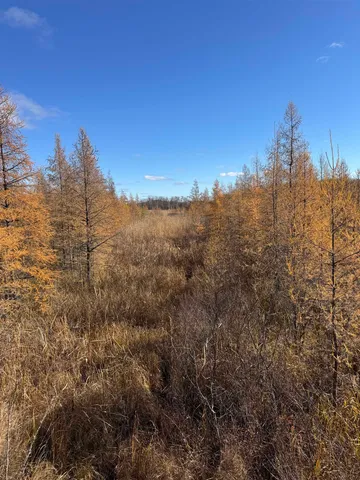 $499,900 | E3759 Highway 161, Iola, WI 54945