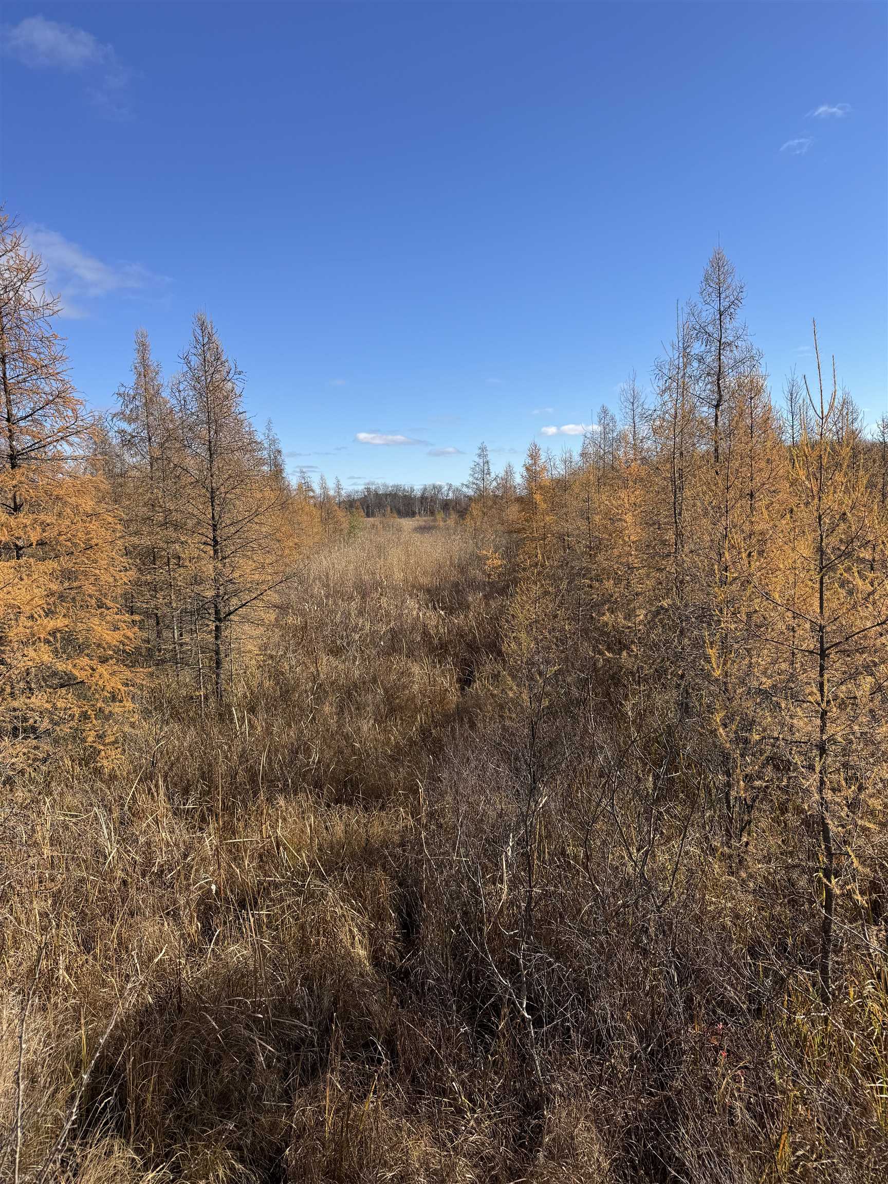 E3759 Highway 161 Iola, WI 54945 - Photo 49 of 67