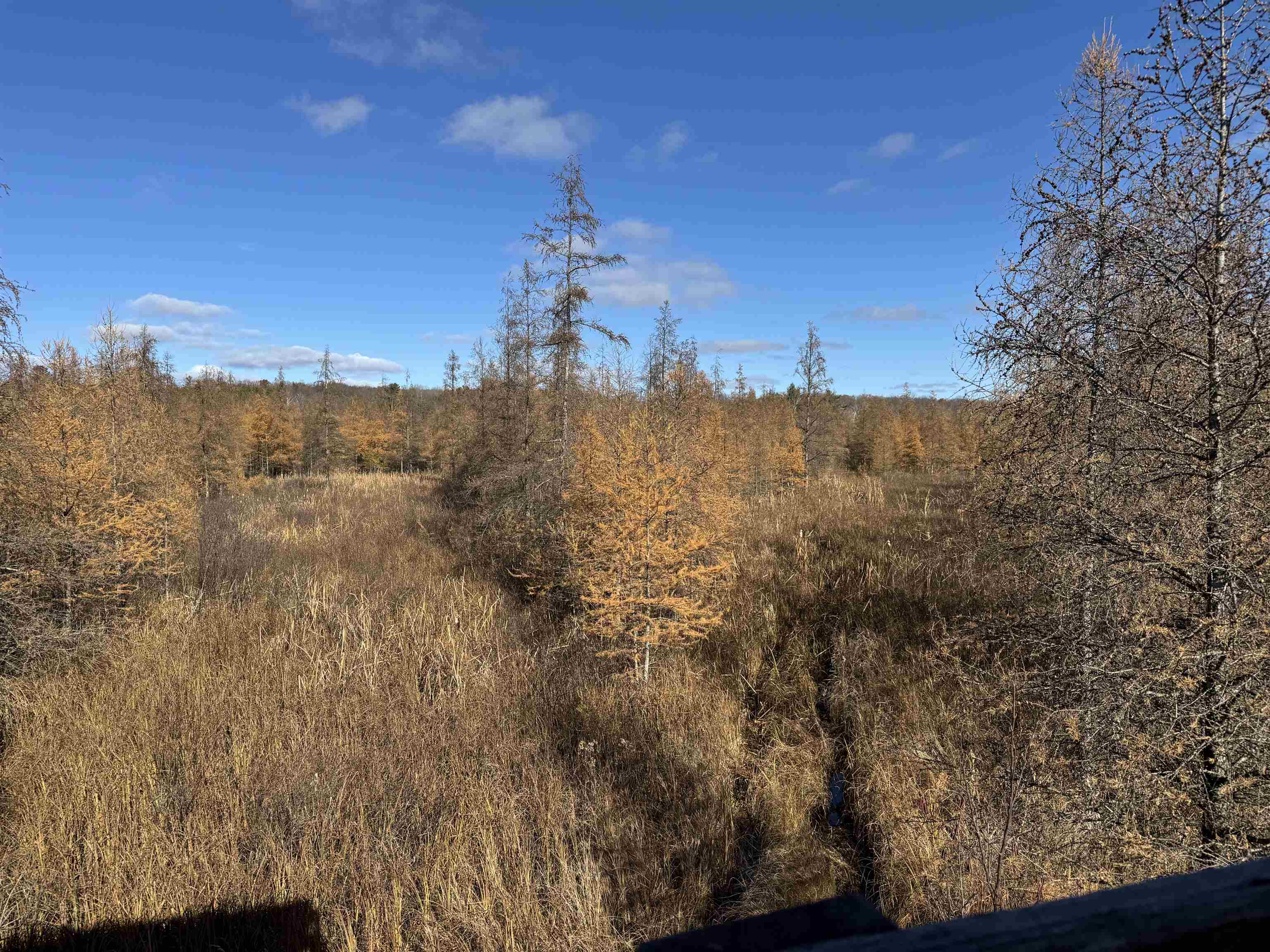 E3759 Highway 161 Iola, WI 54945 - Photo 50 of 67