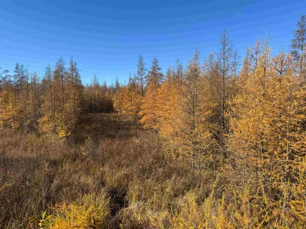 $484,000 | E3759 Highway 161, Iola, WI 54945