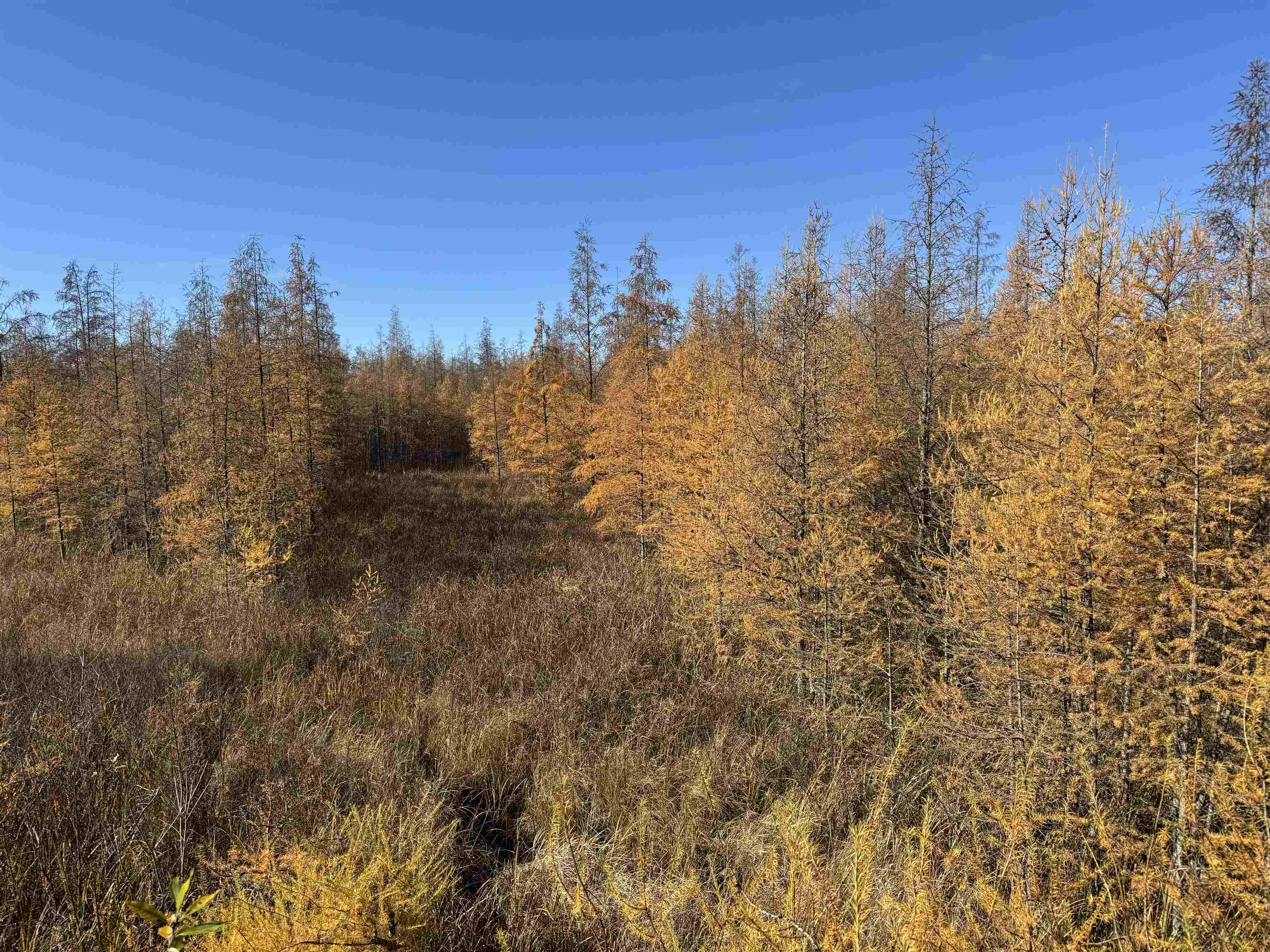 E3759 Highway 161 Iola, WI 54945 - Photo 51 of 67