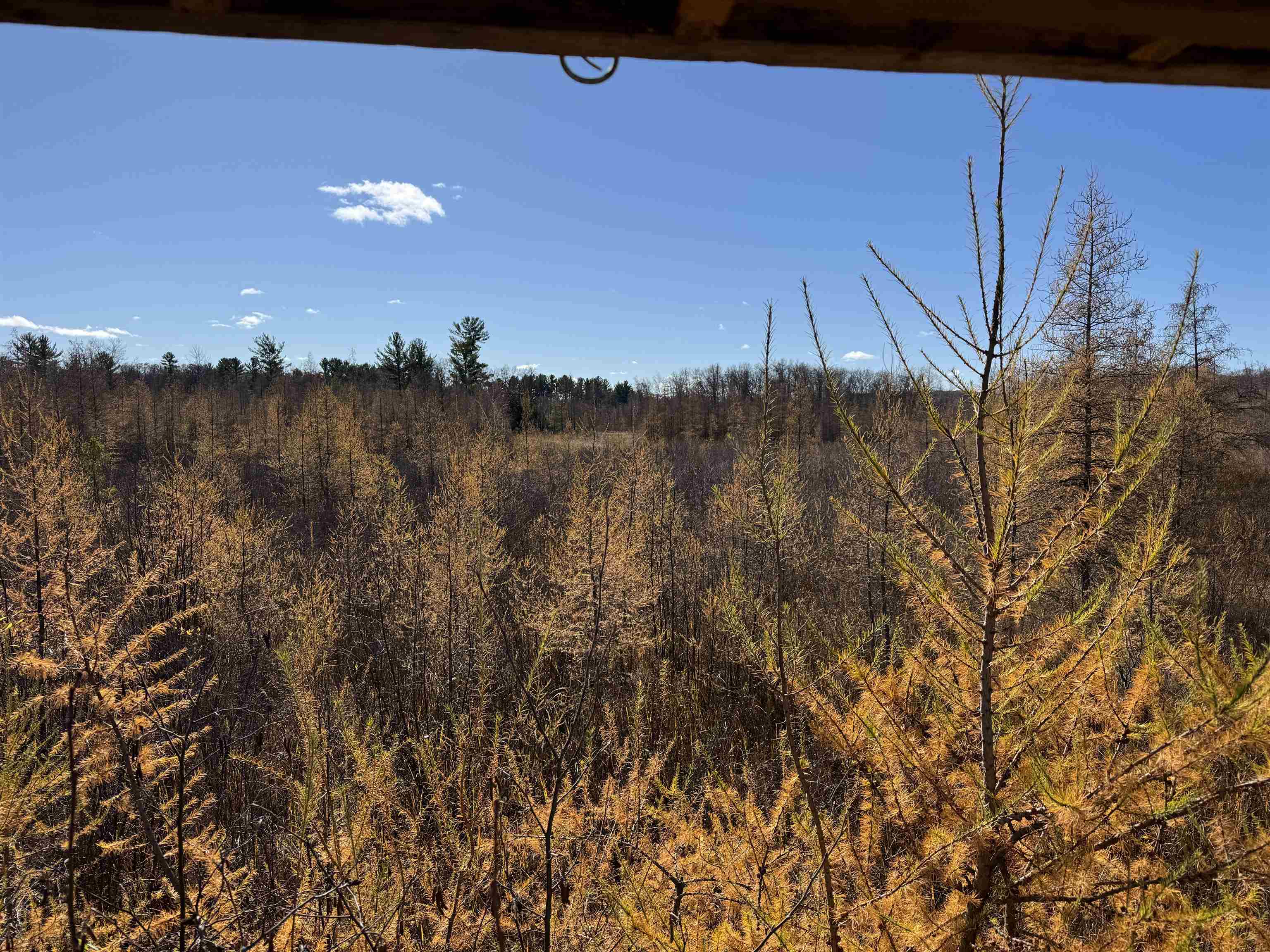 E3759 Highway 161 Iola, WI 54945 - Photo 52 of 67