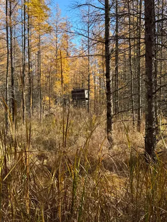 $484,000 | E3759 Highway 161, Iola, WI 54945