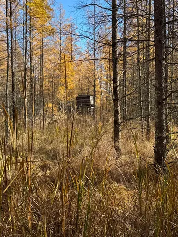 $499,900 | E3759 Highway 161, Iola, WI 54945