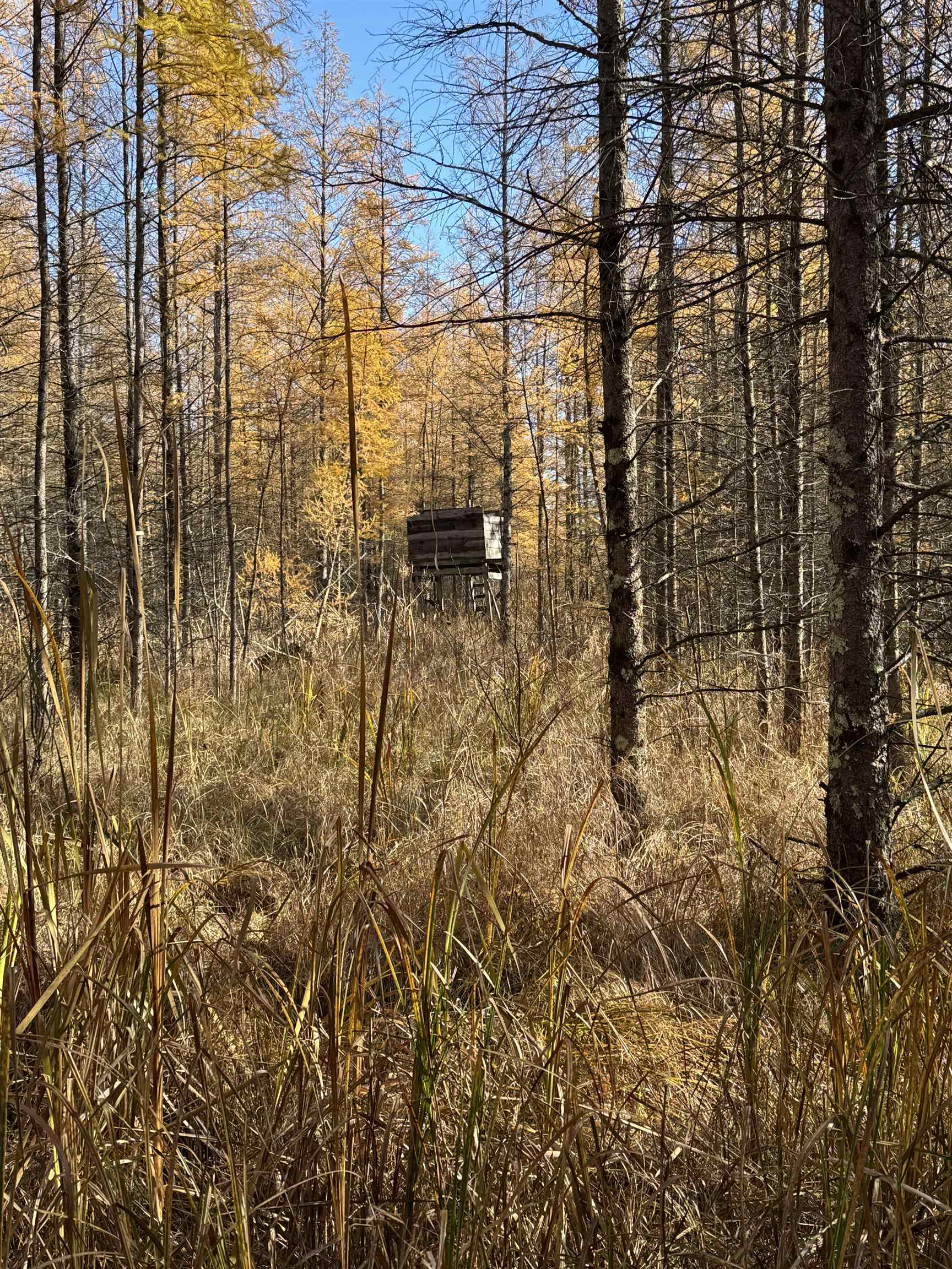 E3759 Highway 161 Iola, WI 54945 - Photo 53 of 67