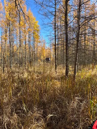 $484,000 | E3759 Highway 161, Iola, WI 54945