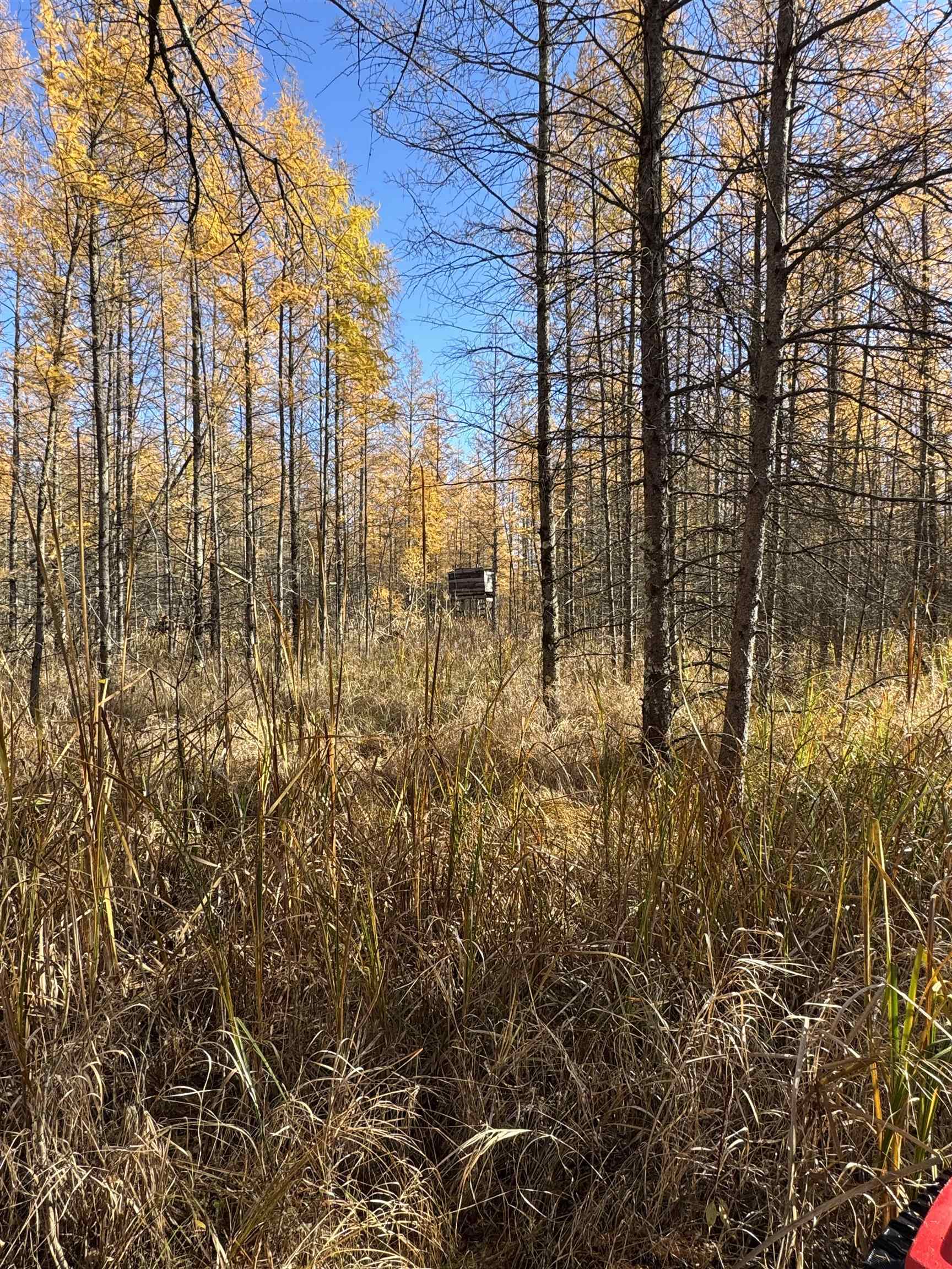 E3759 Highway 161 Iola, WI 54945 - Photo 54 of 67