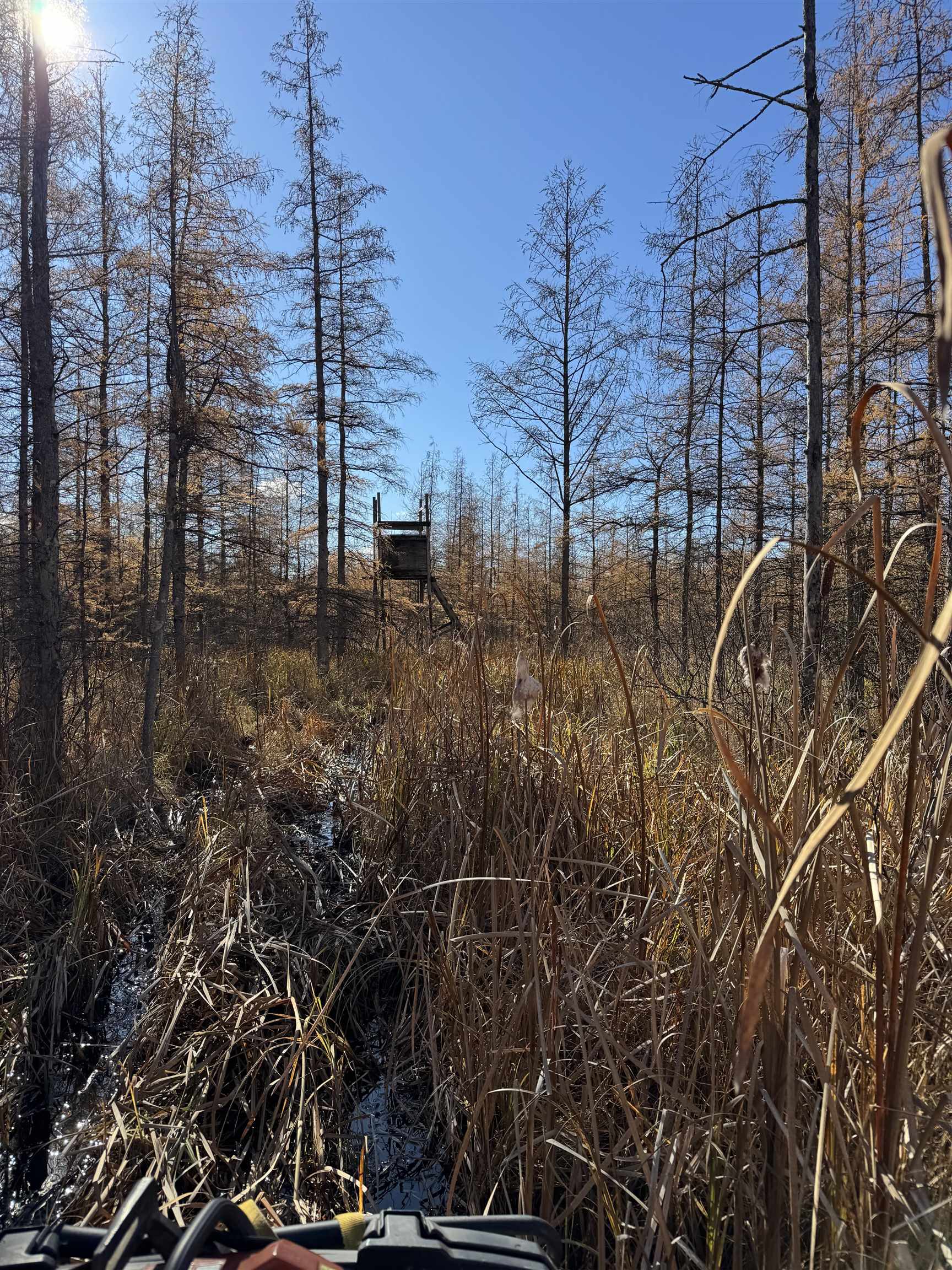 E3759 Highway 161 Iola, WI 54945 - Photo 55 of 67