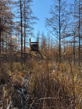 $484,000 | E3759 Highway 161, Iola, WI 54945