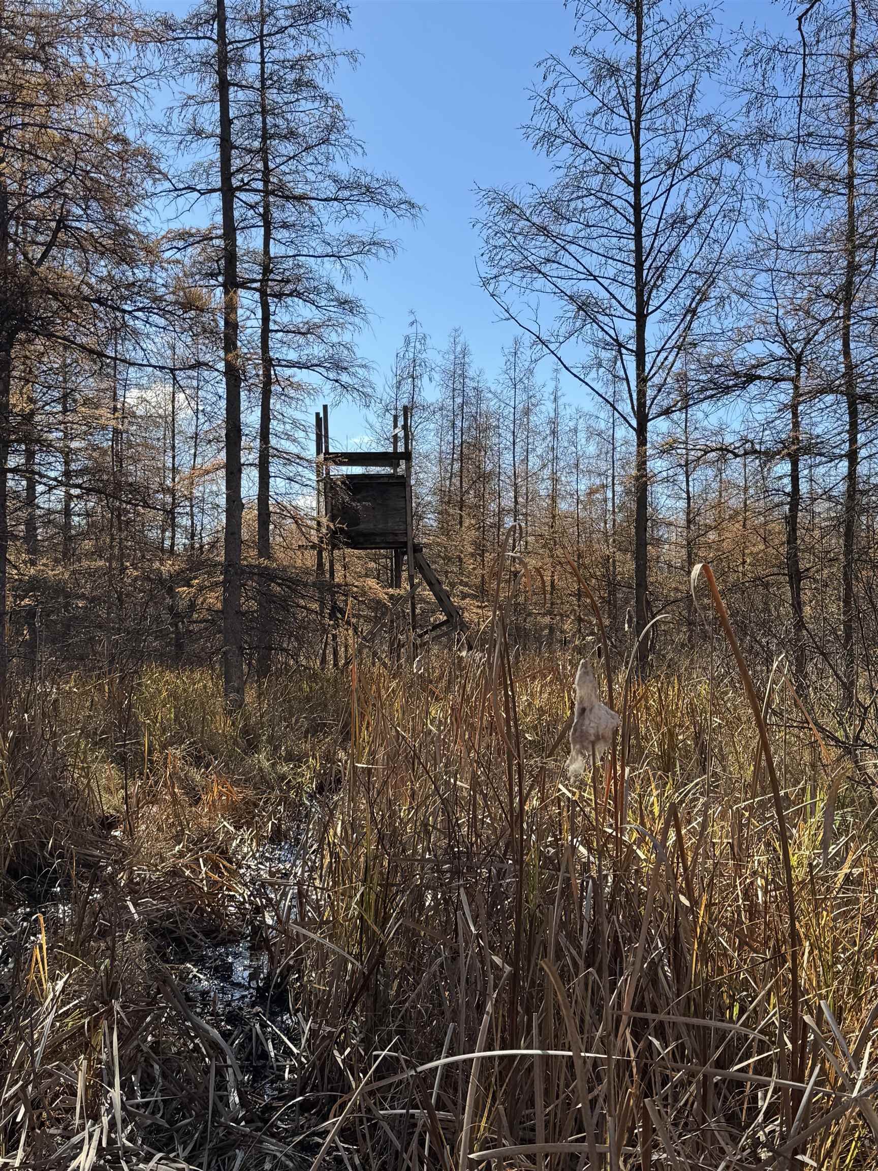 E3759 Highway 161 Iola, WI 54945 - Photo 56 of 67