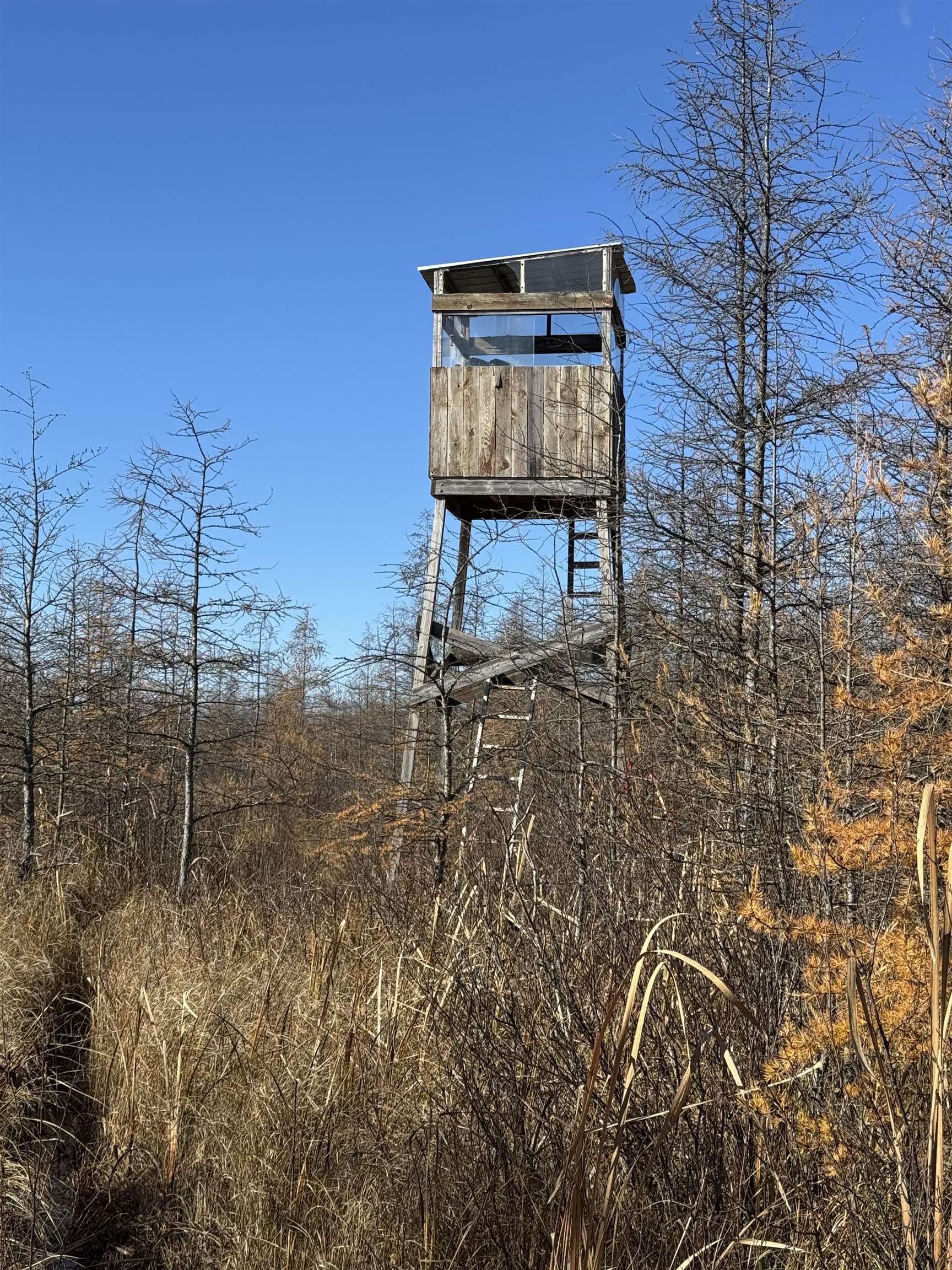 E3759 Highway 161 Iola, WI 54945 - Photo 58 of 67