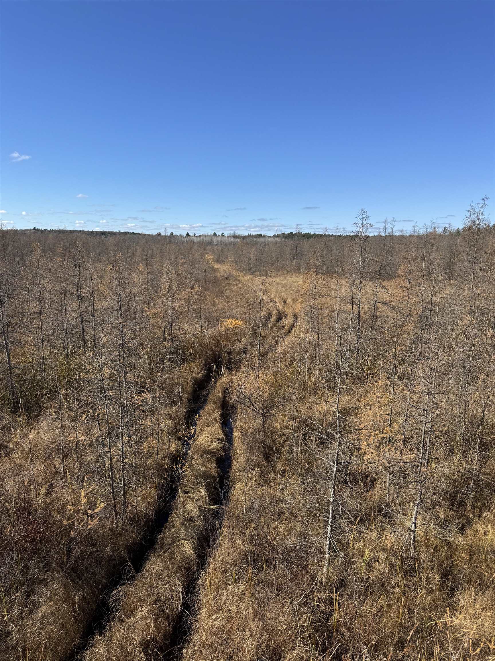 E3759 Highway 161 Iola, WI 54945 - Photo 60 of 67