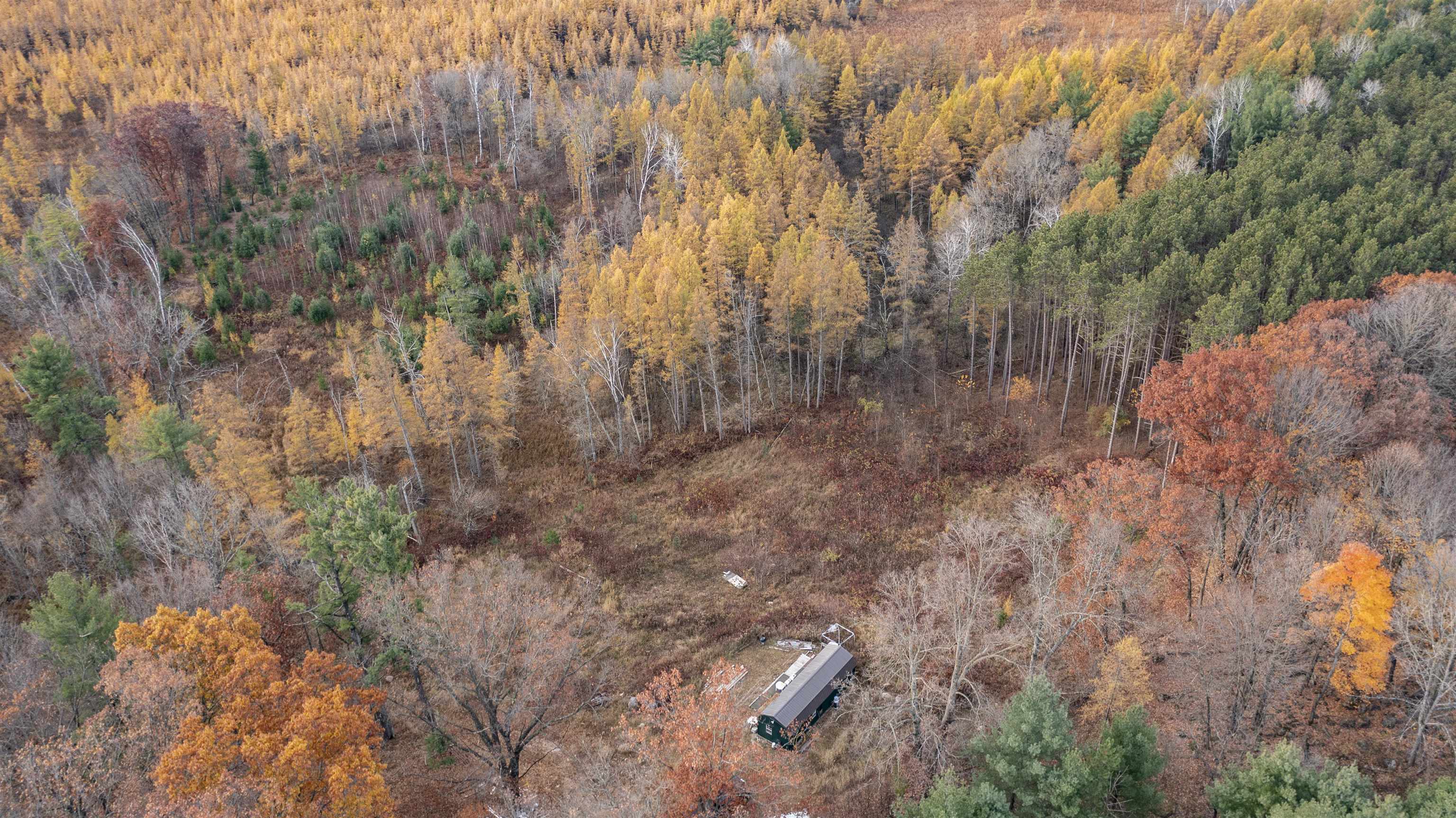 E3759 Highway 161 Iola, WI 54945 - Photo 6 of 67