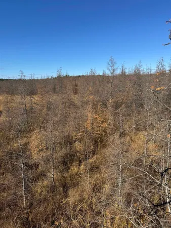 $484,000 | E3759 Highway 161, Iola, WI 54945