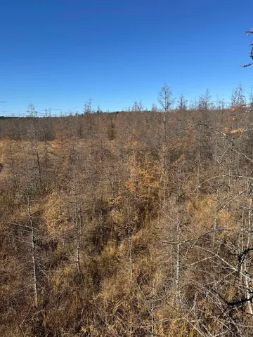 $499,900 | E3759 Highway 161, Iola, WI 54945