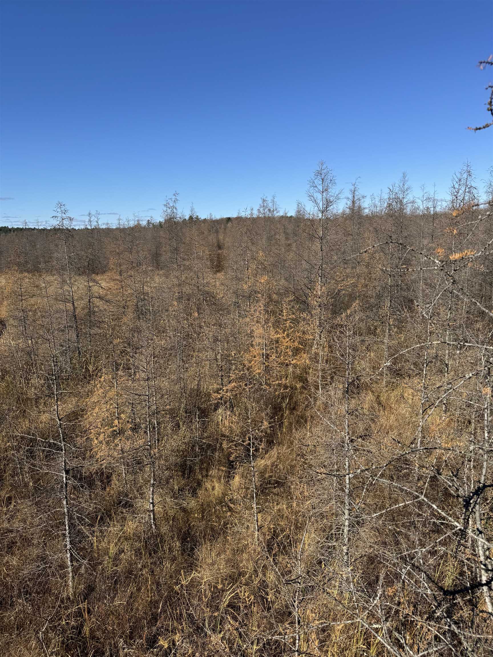 E3759 Highway 161 Iola, WI 54945 - Photo 61 of 67