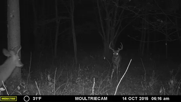 $484,000 | E3759 Highway 161, Iola, WI 54945