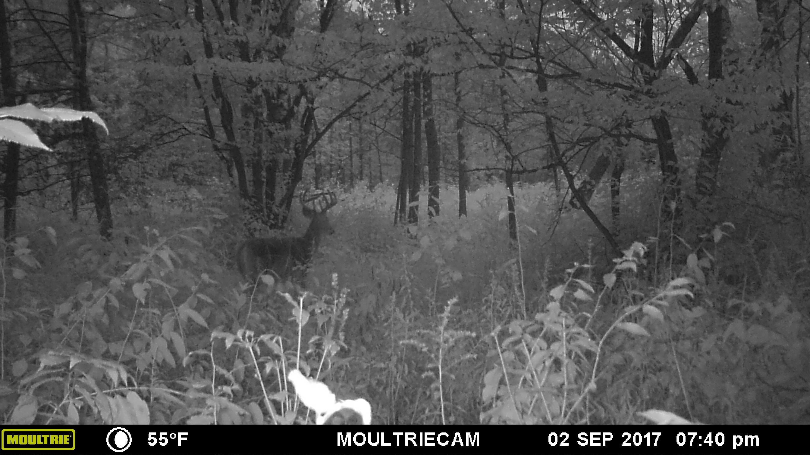 E3759 Highway 161 Iola, WI 54945 - Photo 65 of 67