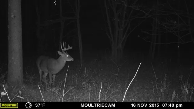 $499,900 | E3759 Highway 161, Iola, WI 54945