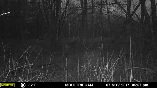 $484,000 | E3759 Highway 161, Iola, WI 54945