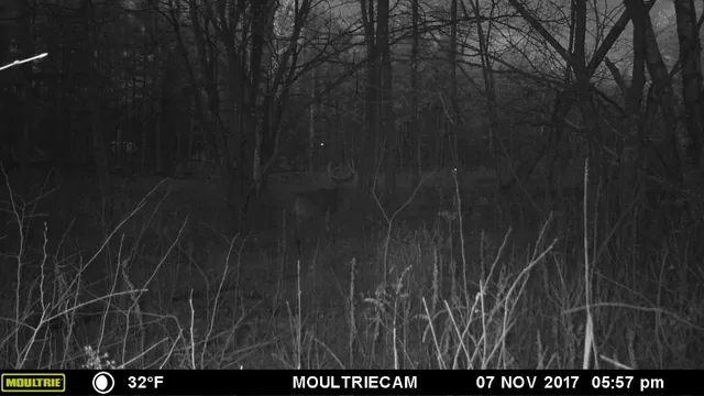 $499,900 | E3759 Highway 161, Iola, WI 54945