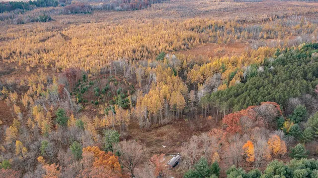 $499,900 | E3759 Highway 161, Iola, WI 54945