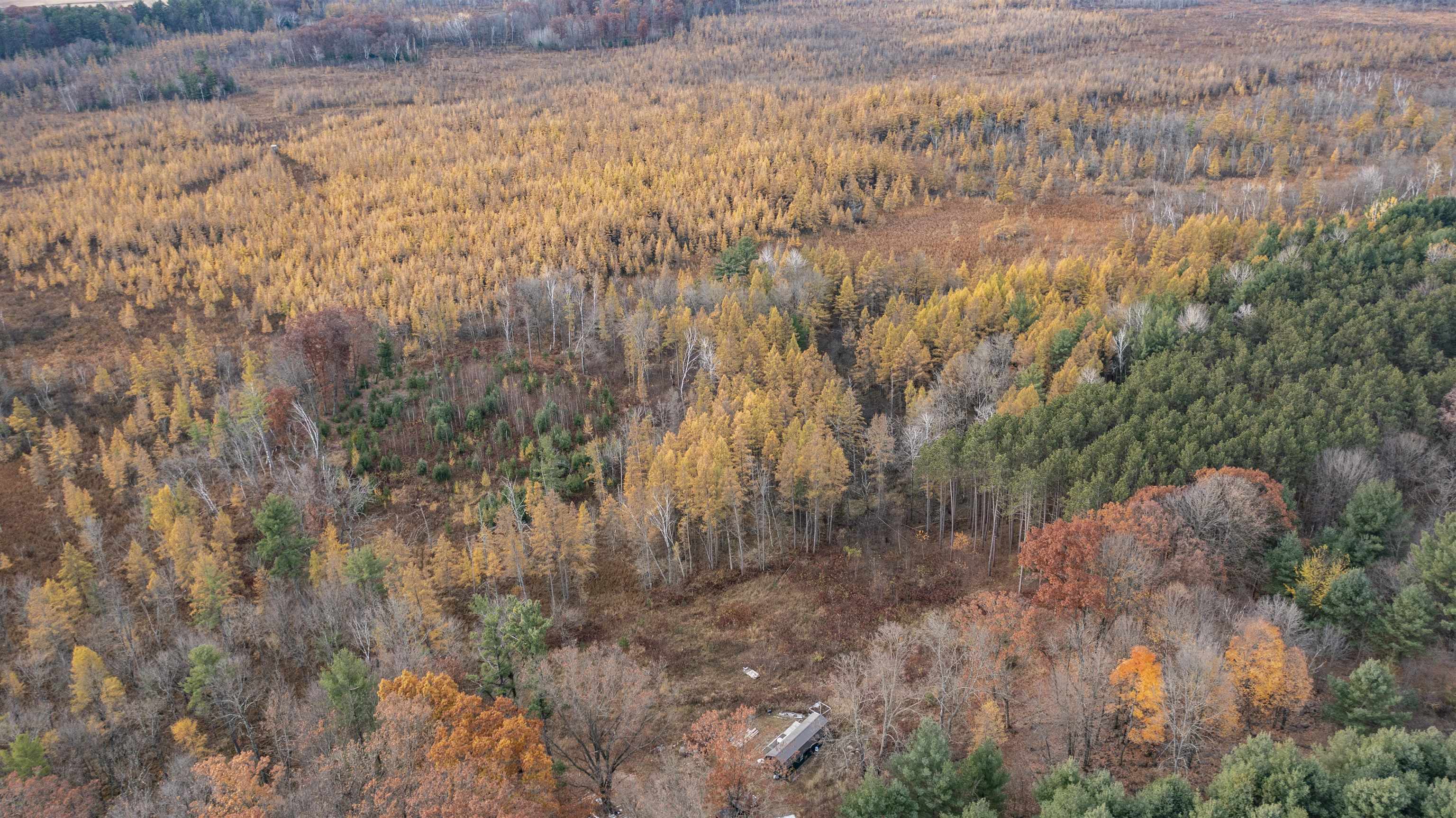 E3759 Highway 161 Iola, WI 54945 - Photo 7 of 67