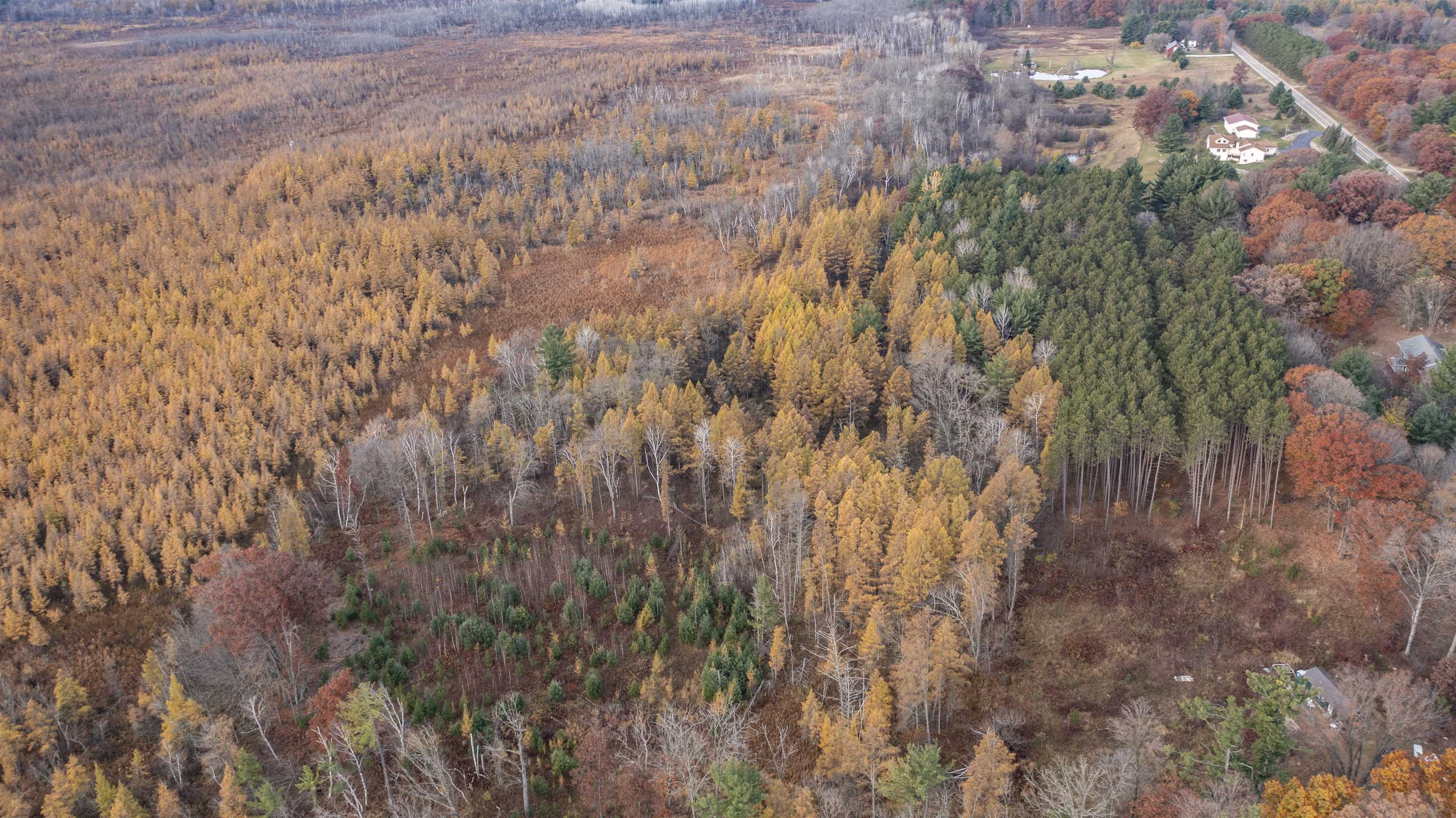 E3759 Highway 161 Iola, WI 54945 - Photo 9 of 67