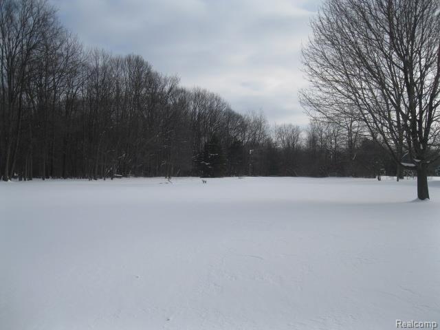 2397 Belsay Road Burton, MI 48519 - Photo 4 of 33 IMG_8028.jpg