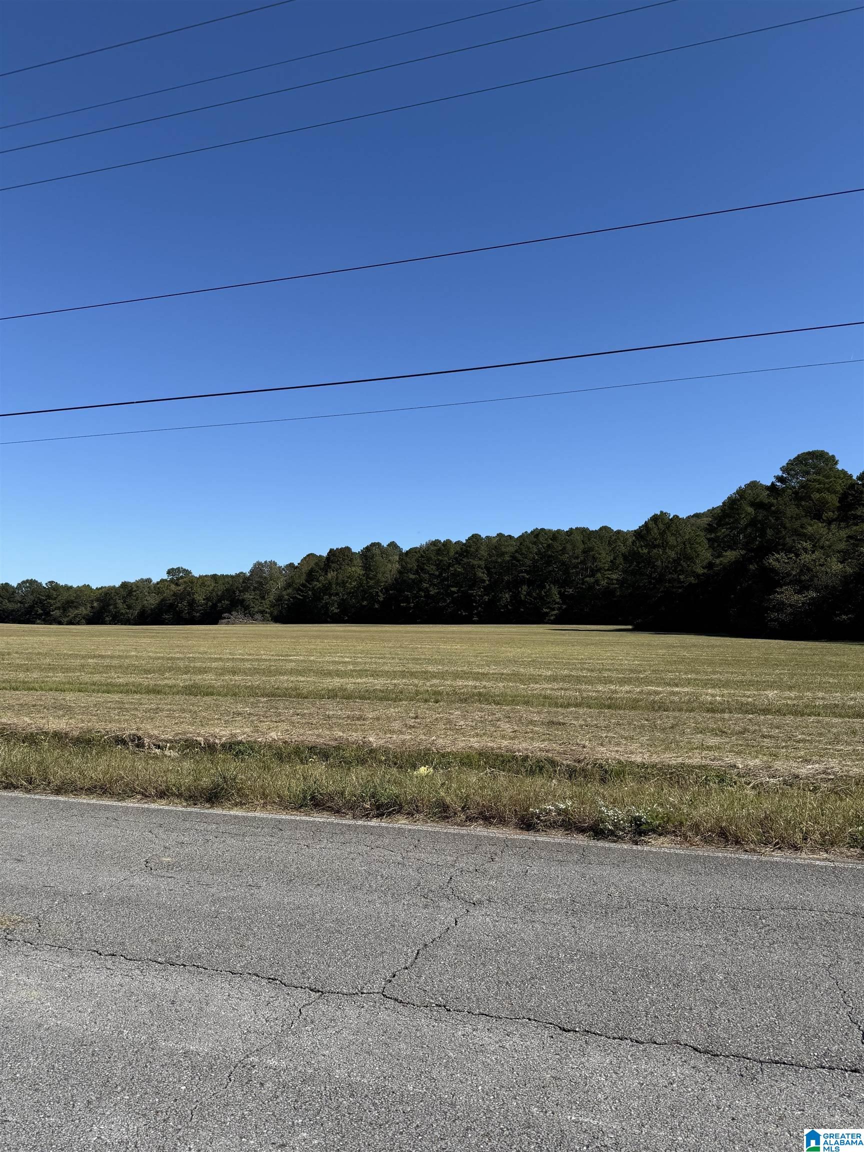 0 Old Six Mile Road, Unit 103 Somerville, AL 35670 - Photo 7 of 17