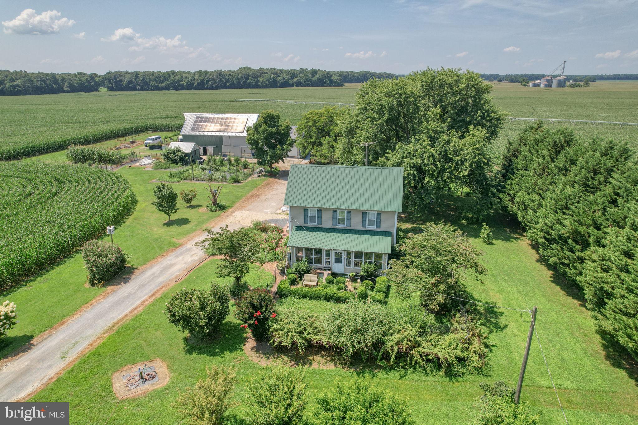 994 Vernon Road Harrington, DE 19952 - Photo 4 of 82 Charming farmhouse amid lush fields.