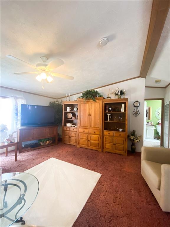 627 Deana Way Rochester, PA 15074 - Photo 8 of 17 a living room with furniture and a flat screen tv