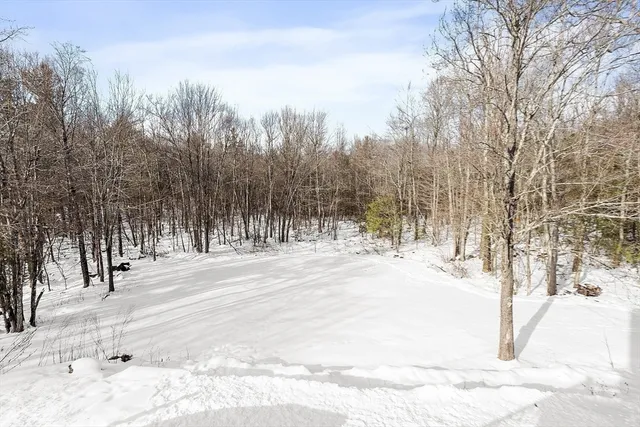 a view of road with trees in the background