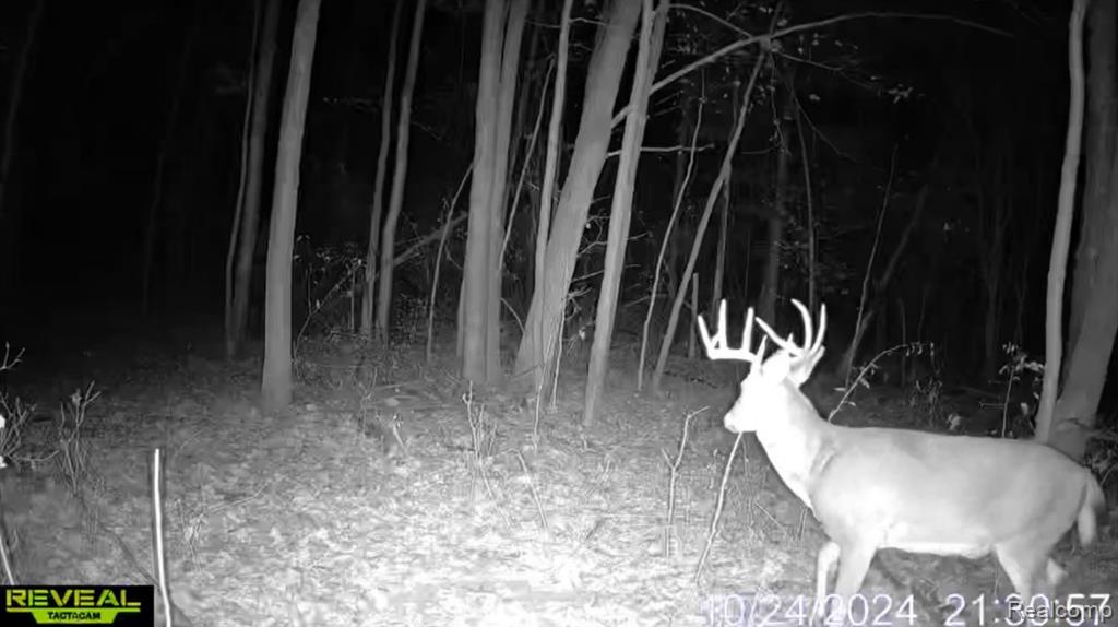 0 5 Lakes Road Metamora, MI 48455 - Photo 13 of 17 Gallery Image 13