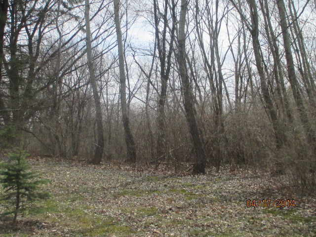 5-acres Kishwaukee Valley Road Harvard, IL 60152 - Photo 5 of 10