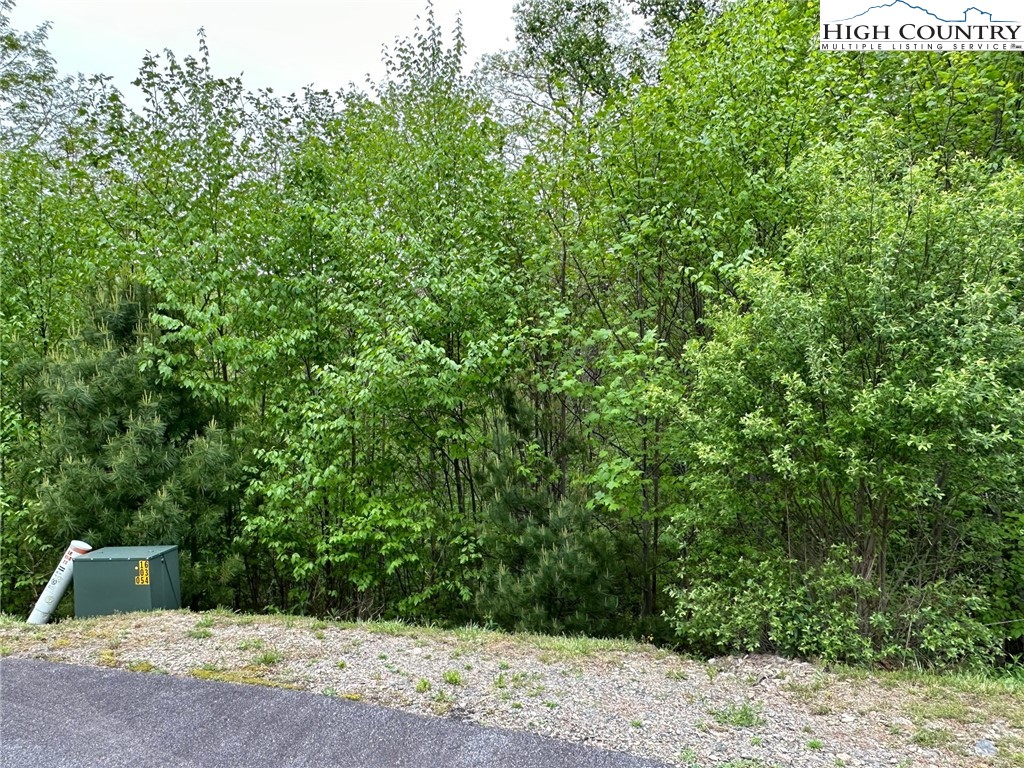 Lot 11-12 Sunset Ridge Drive Boone, NC 28607 - Photo 12 of 28
