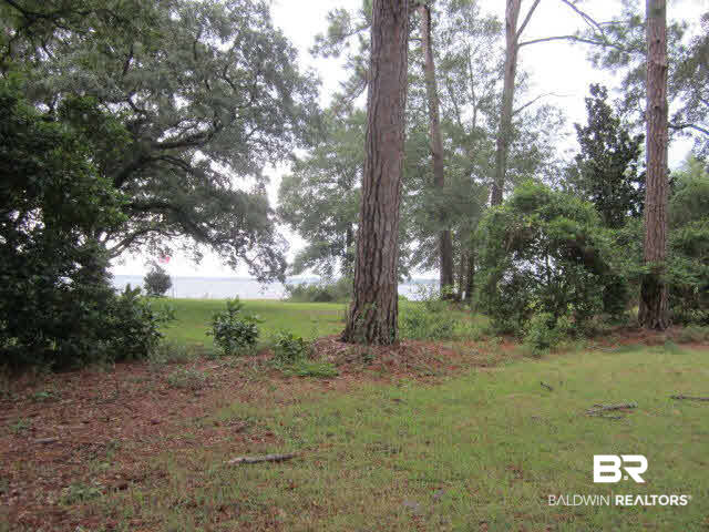 12933 4th Street Lillian, AL 36549 - Photo 21 of 23