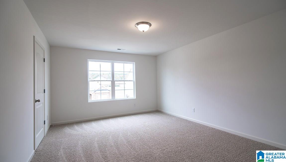 1027 Flyway View Lane Alabaster, AL 35007 - Photo 12 of 20