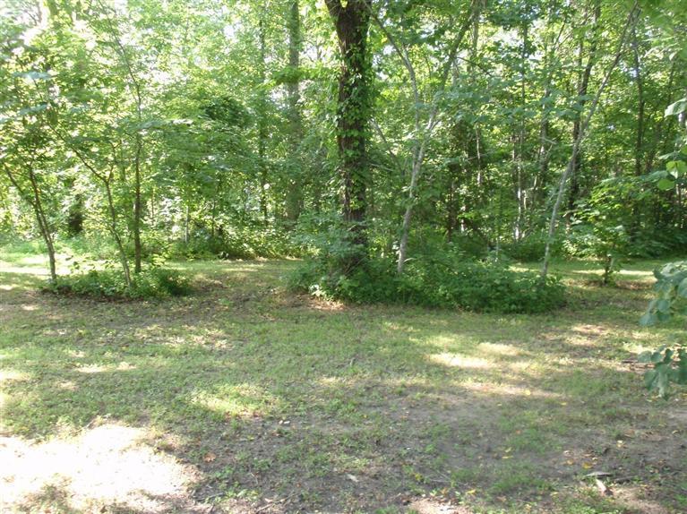 36 Rosedale Street Jamestown, KY 42629 - Photo 1 of 8 Primary Photo