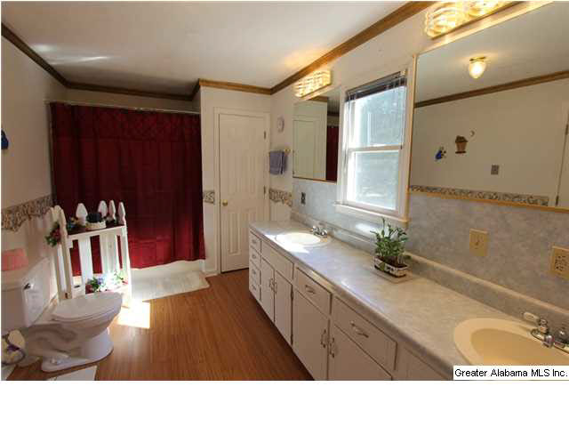 1019 County Road 233 Fruithurst, AL 36262 - Photo 9 of 32