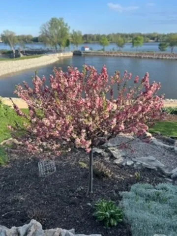 $369,900 | 111 Canal Street, Little Chute, WI 54140