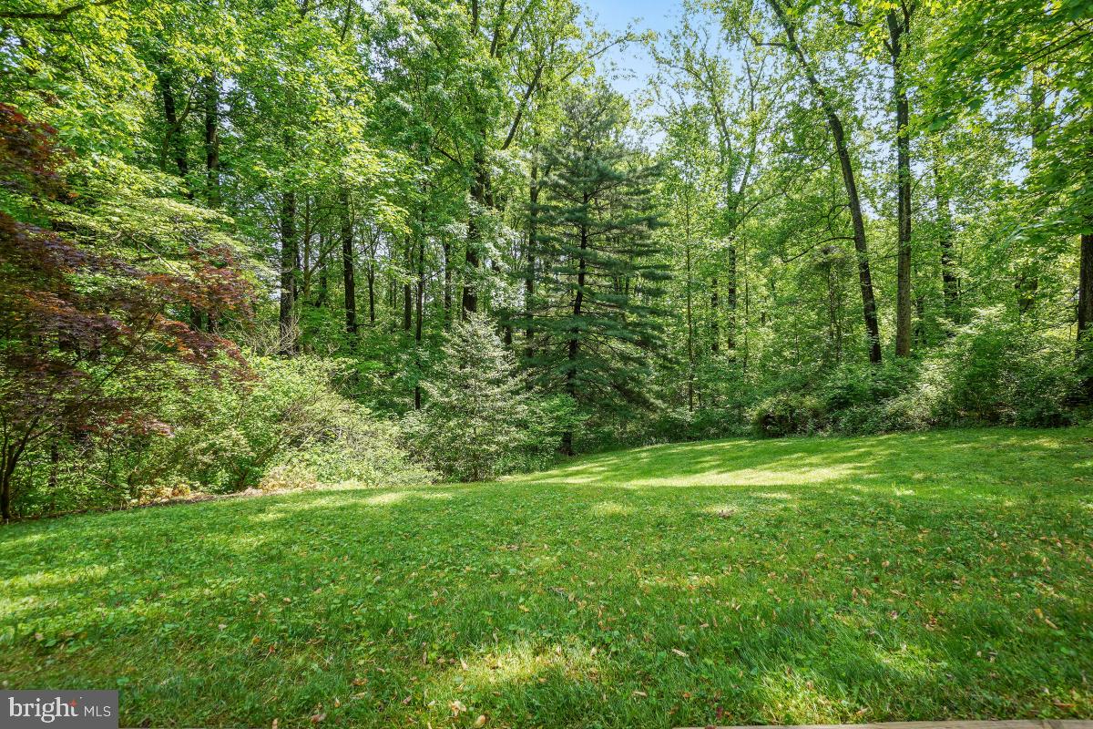 1912 Norvale Road Silver Spring, MD 20906 - Photo 31 of 33 Back Yard that Backs to Woods