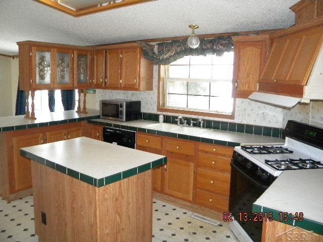 5940 West Freeland Road Freeland, MI 48623 - Photo 4 of 14